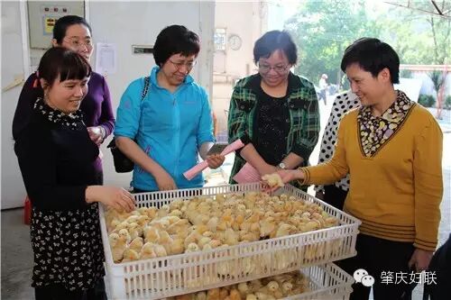 肇庆督查扶持妇女创业