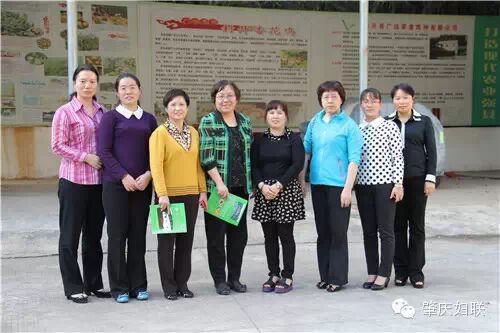 肇庆督查扶持妇女创业