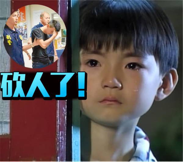 中國第一位入獄的童星，《海豚灣戀人》的達達如今又被抓了！ 戲劇 第1張