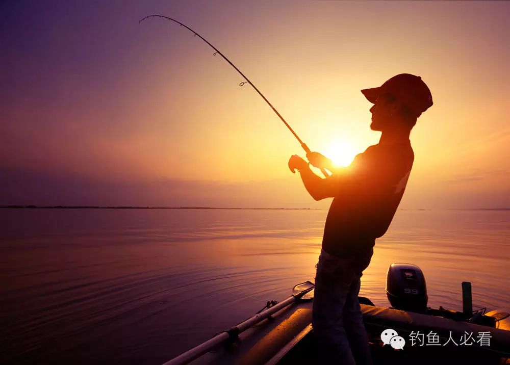 来自微信公众号钓鱼人