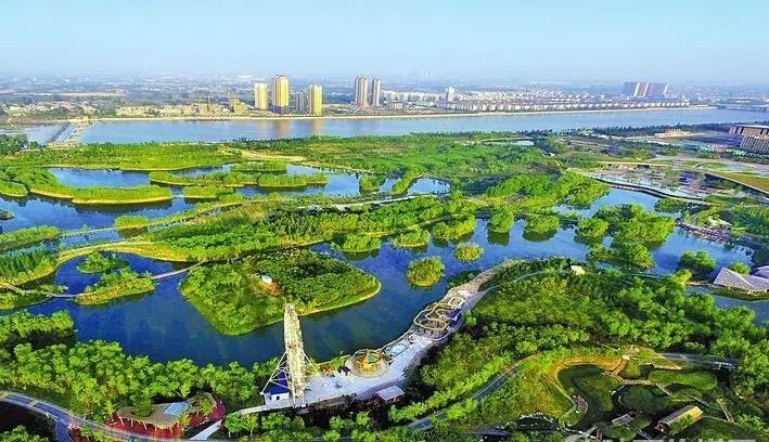 去浐灞国家湿地公园看鸟