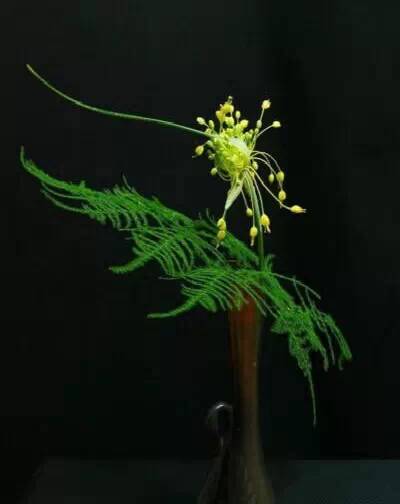 转载:走过一山一水,一朝一夕偿还(配音乐) - 秋博子奥 - 秋博子奥的博客 转载:走过一山一水,一朝一夕偿还(配音乐) - 秋博子奥 - 秋博子奥的博客