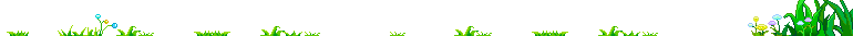 龙岩网(图221)