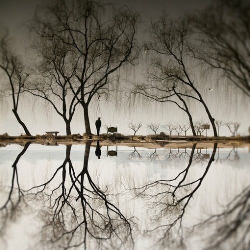 30张全球顶级倒影作品，最后一张把我惊呆了 - 随缘（宗忠） - m15610087517的博客