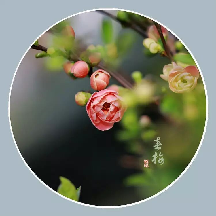能打开任何人心结的一段话！小故事_96趣味网 一个致力于资源整合的网站