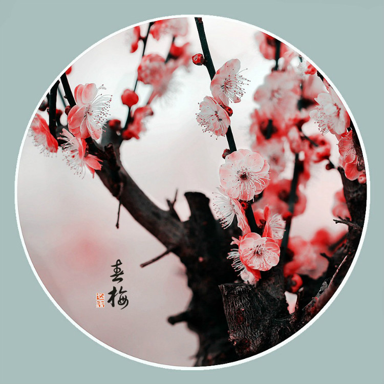 能打开任何人心结的一段话！小故事_96趣味网 一个致力于资源整合的网站