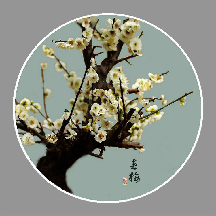 能打开任何人心结的一段话！小故事_96趣味网 一个致力于资源整合的网站