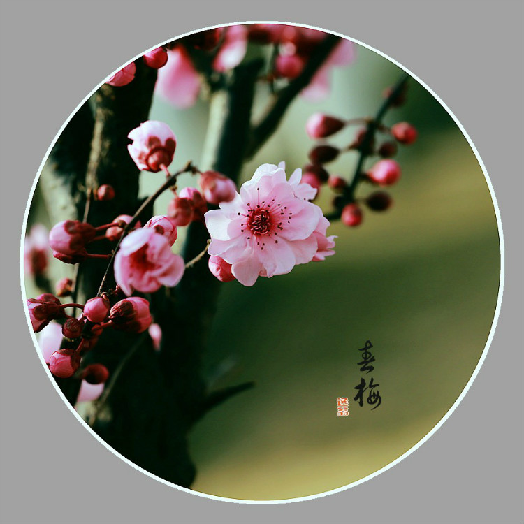能打开任何人心结的一段话！小故事_96趣味网 一个致力于资源整合的网站