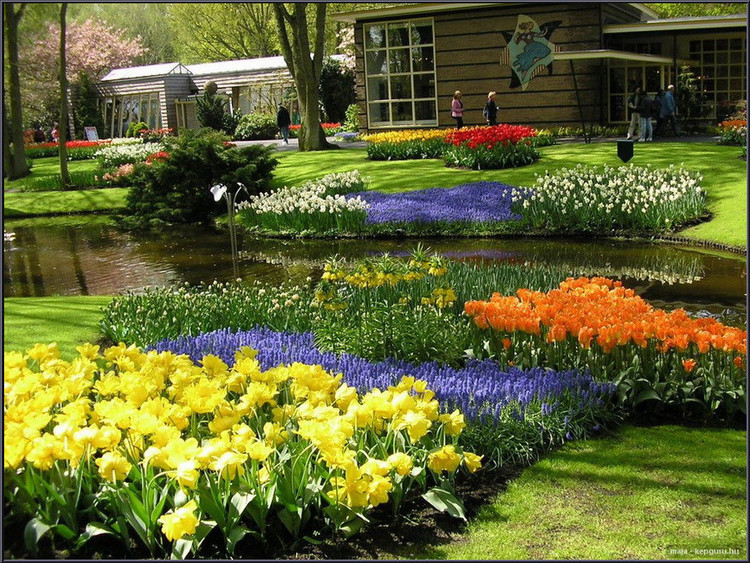 花誰家花園，太美了