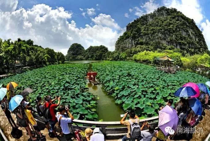 南海出发不用2小时,“五一”孙楠、陈小春齐聚鼎湖山!...