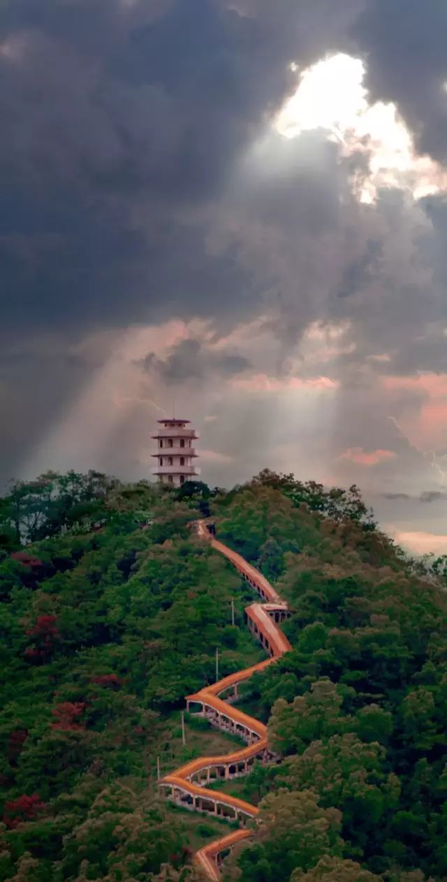 鳌峰山位于恩平市区,山高150米,山势雄伟,松林如海,建有盘山公路.