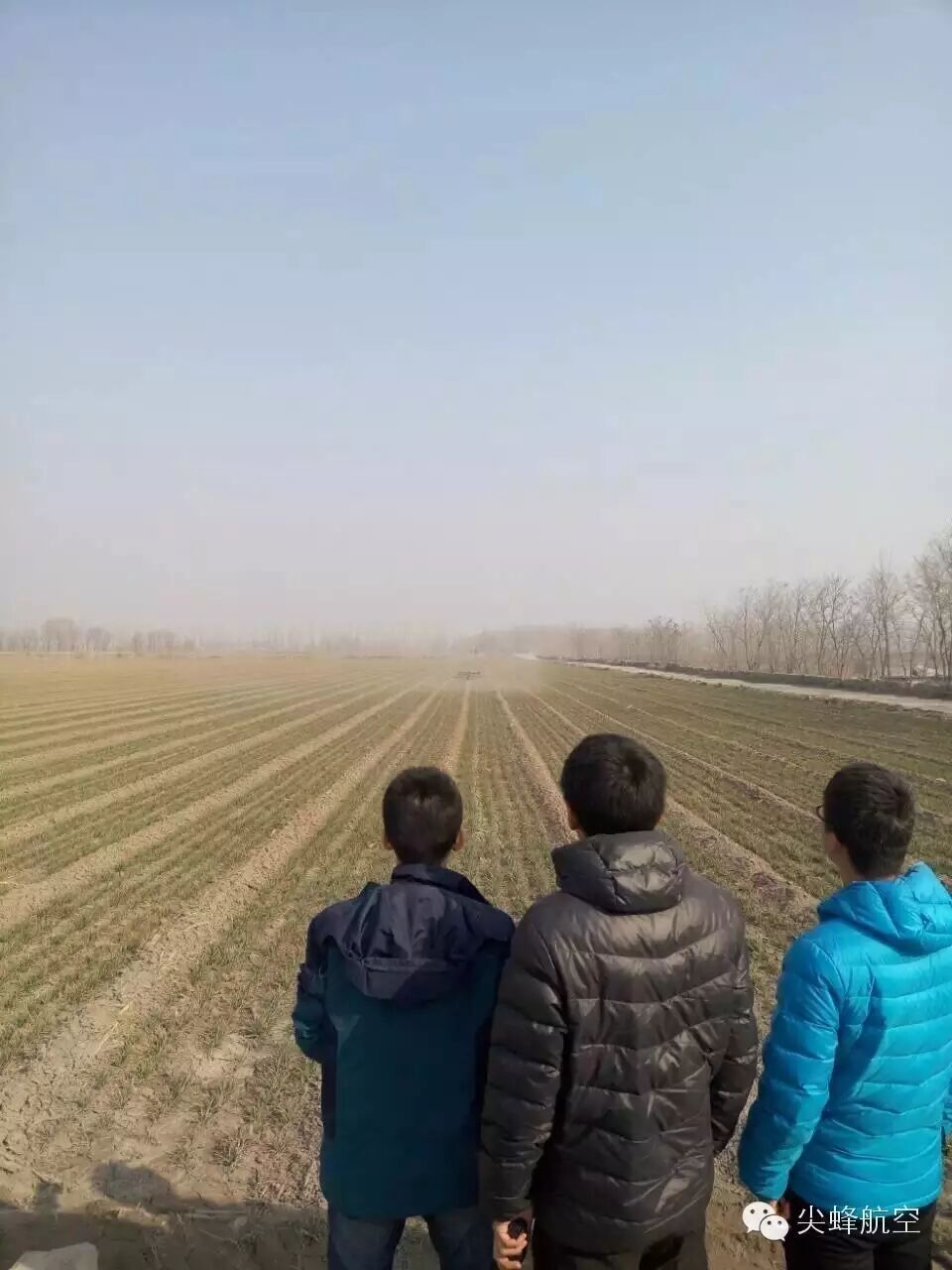 植保無人機在山東大顯威力 