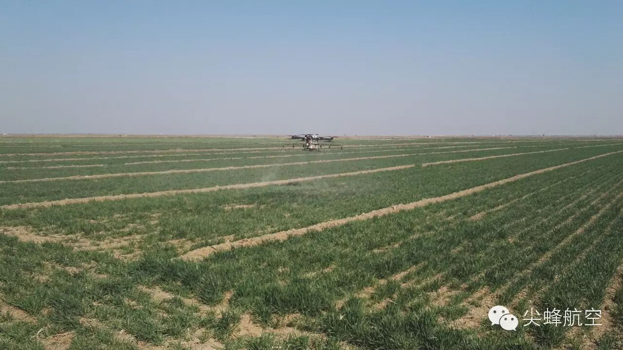 植保無人機在山東大顯威力 