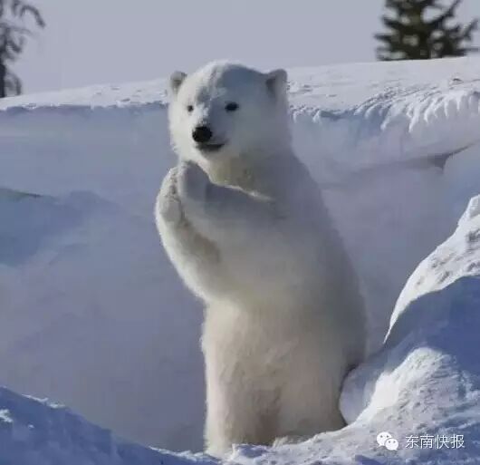 大年初一，福建各地習(xí)俗是這樣子的！