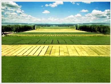 【微团购】北大荒鸿福酒，与五粮液共酿天和之作的美酒 <wbr>，新年特献买一赠一