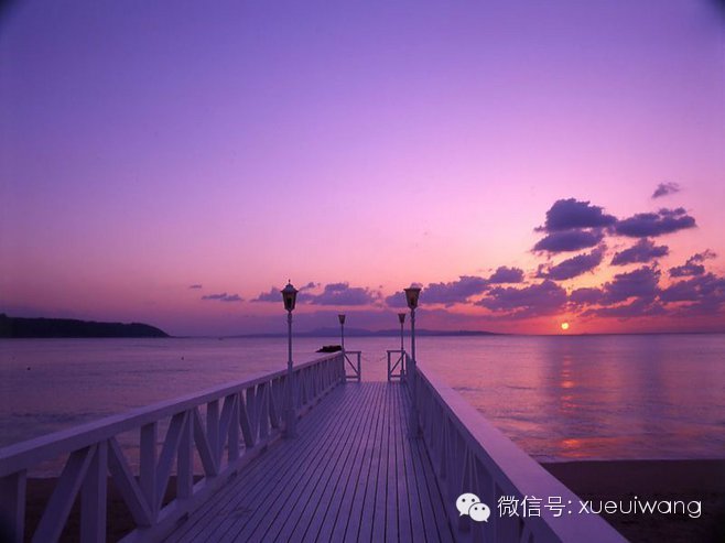 2014年国际流行色–兰花紫（设计师必看）_qh.itpxw.cn