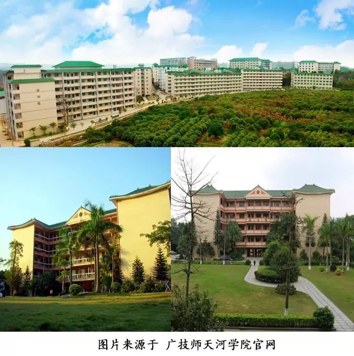 广东技术师范学院天河学院 广师天院的建筑特色是使用了绿瓦,校道上