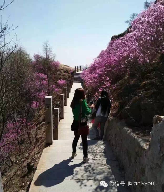 登录查看大图