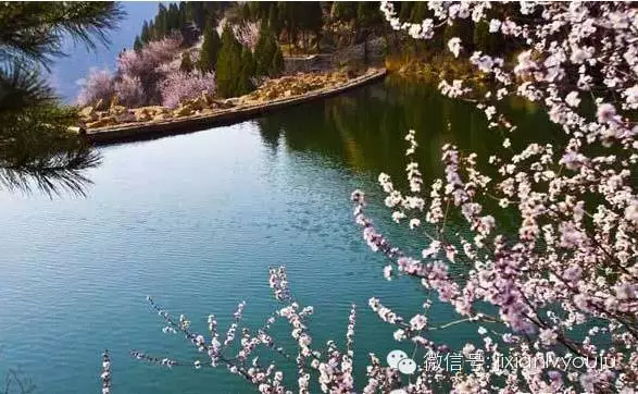 登录查看大图