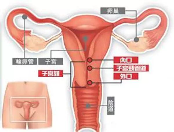 【不孕不育】曲靖仁爱专家谈:输卵管粘连要怎样治疗才不会影响怀孕?-怀孕期