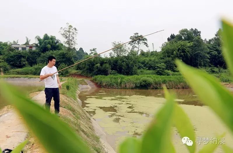 钓小龙虾,全城就这一家!