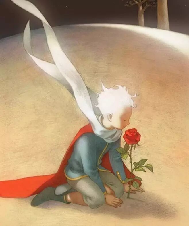 大王子和小王子