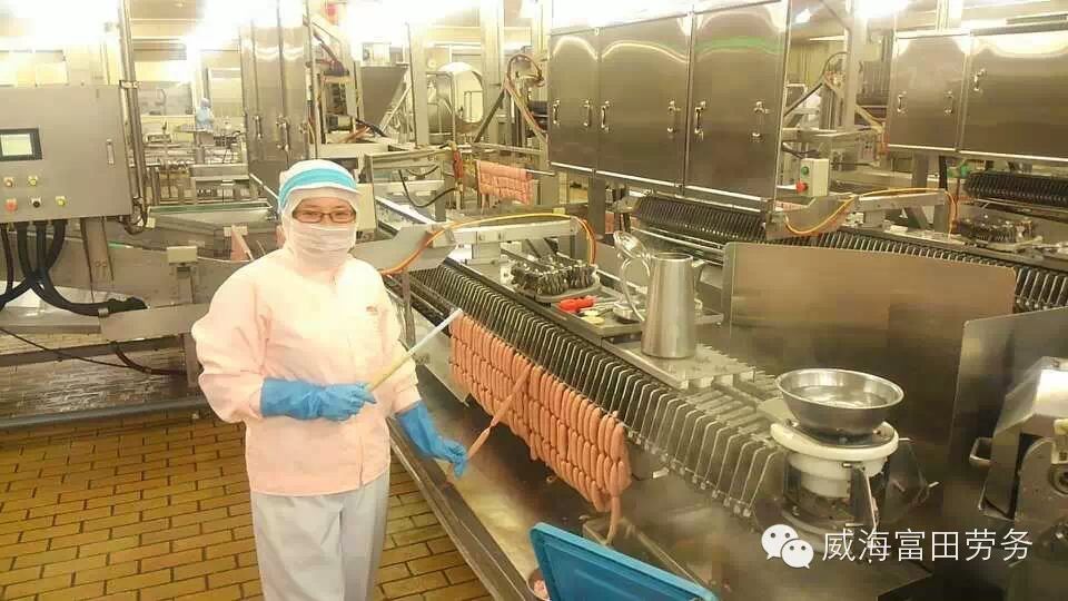 主要从事火腿香肠面包加工流水线工作