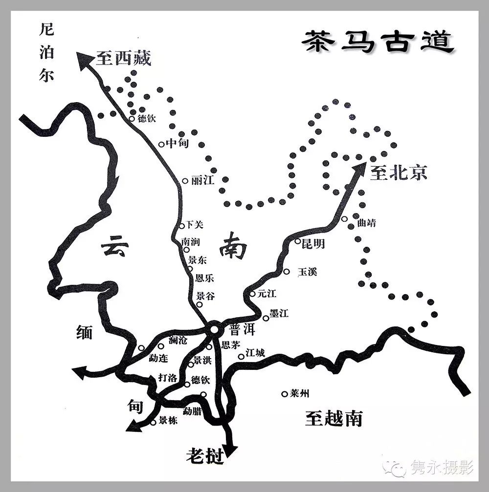 明清时期以普洱为中心,向国内外辐射出五条"茶马古道".