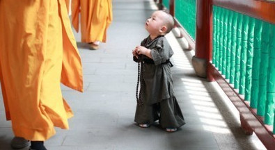 可爱的小沙弥......【阿弥陀佛/善哉善哉】 - 火凤凰第二博 - 火凤凰第二博 可爱的小沙弥......【阿弥陀佛/善哉善哉】 - 火凤凰第二博 - 火凤凰第二博