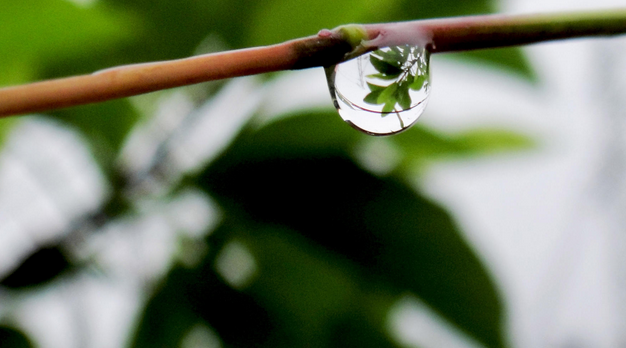 [转载]时间煮雨,成全自己!(说的太好了!