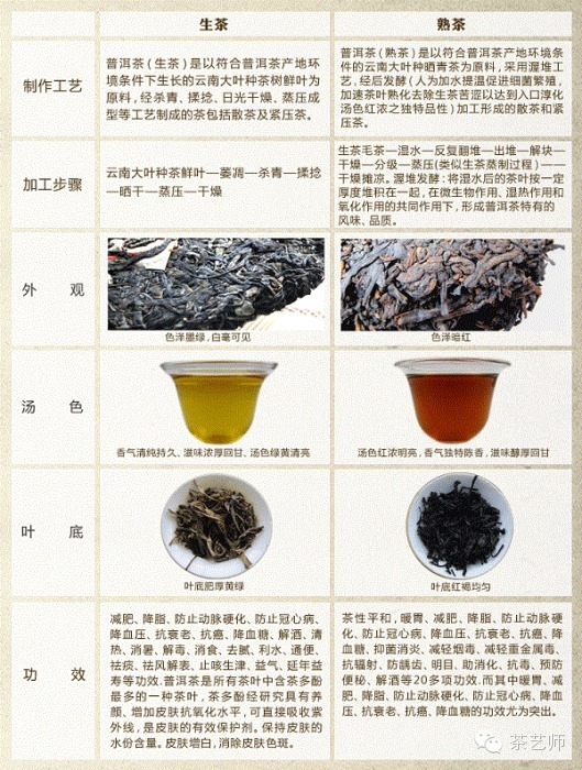 普洱茶：生熟茶功效对比