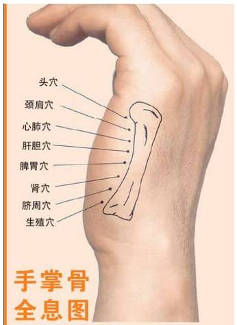 全体男女经络穴位图集