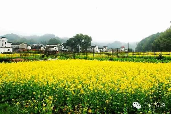 ☀ 行走在路上,春光乍泄无限好533 / 作者:古建灵韵 / 帖子ID:115394 ☀ 行走在路上,春光乍泄无限好533 / 作者:古建灵韵 / 帖子ID:115394