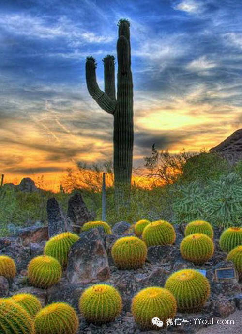 640?wx_fmt=jpeg&amp;wxfrom=5&amp;wx_lazy=1