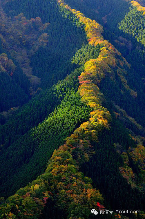 640?wx_fmt=jpeg&amp;wxfrom=5&amp;wx_lazy=1