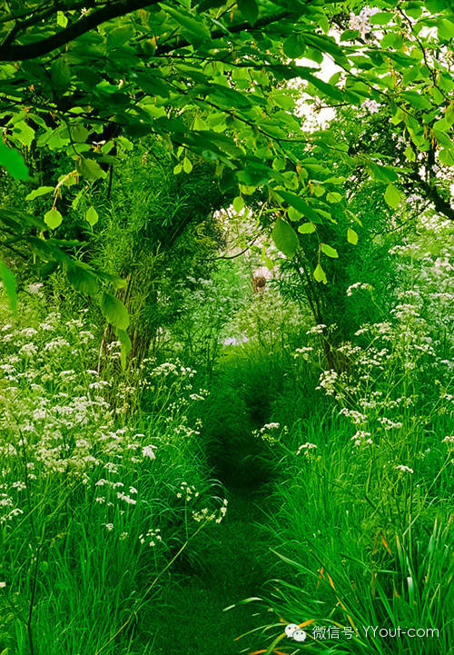 640?wx_fmt=jpeg&amp;wxfrom=5&amp;wx_lazy=1