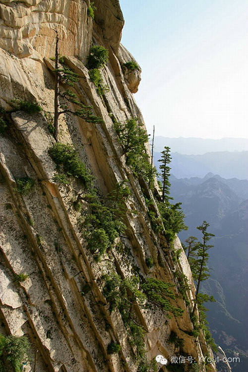 640?wx_fmt=jpeg&amp;wxfrom=5&amp;wx_lazy=1