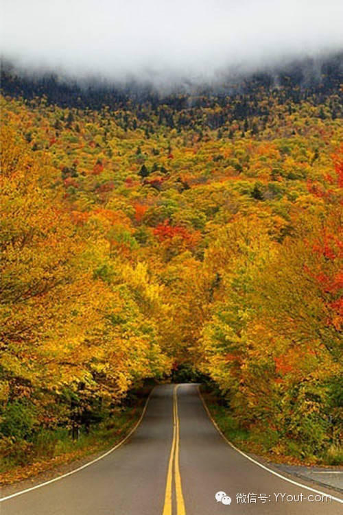 640?wx_fmt=jpeg&amp;wxfrom=5&amp;wx_lazy=1