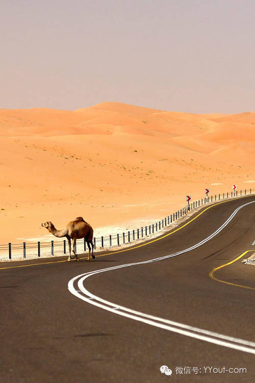 640?wx_fmt=jpeg&amp;wxfrom=5&amp;wx_lazy=1