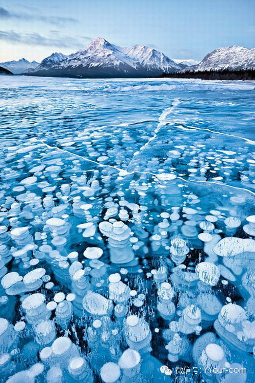 640?wx_fmt=jpeg&amp;wxfrom=5&amp;wx_lazy=1