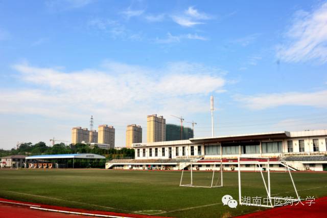 湖南中医药大学分数线_湖南医药录取分数线_湖南本科医学院校录取分数线