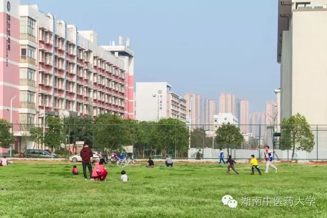 湖南醫藥錄取分數線_湖南中醫藥大學分數線_湖南本科醫學院校錄取分數線