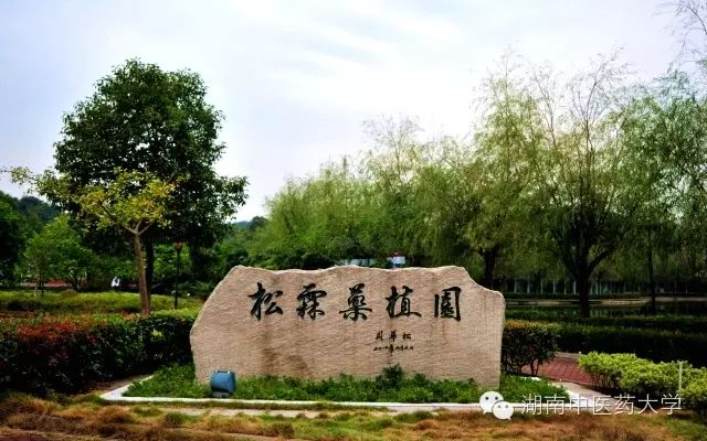 湖南医药录取分数线_湖南本科医学院校录取分数线_湖南中医药大学分数线