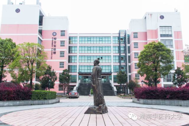 湖南中医药大学分数线_湖南医药录取分数线_湖南本科医学院校录取分数线