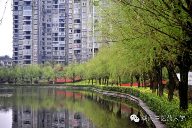 湖南醫藥錄取分數線_湖南中醫藥大學分數線_湖南本科醫學院校錄取分數線