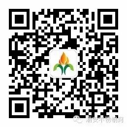 不锈钢微信号二维码 258X258
