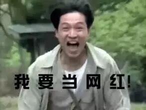 颜值嘴炮估值上亿:资本网红教主王思聪、内容鼻祖罗胖、...