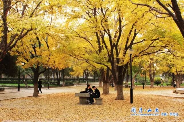 山大校训的内涵和意义_山大校训_山大校训图片