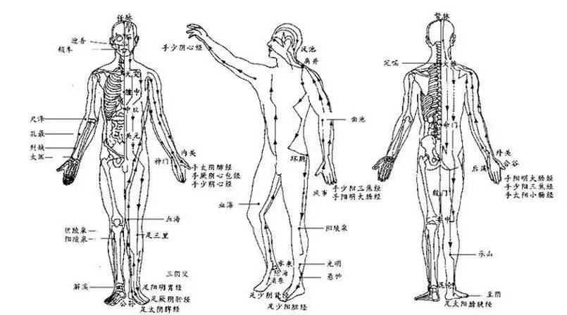 中医学认为:经络是人体气血的通路,是经脉与络脉的总称,起到沟通内外