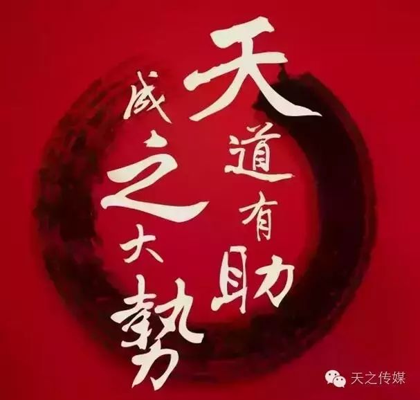T·news学历造假?曾与郑爽相恋? 一言合了胡彦斌全都认...